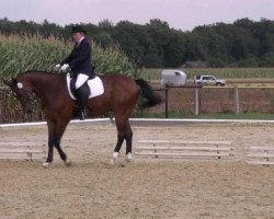 dressage horse Fire and Ice 11 (Westphalian, 1997, from Florestan I)