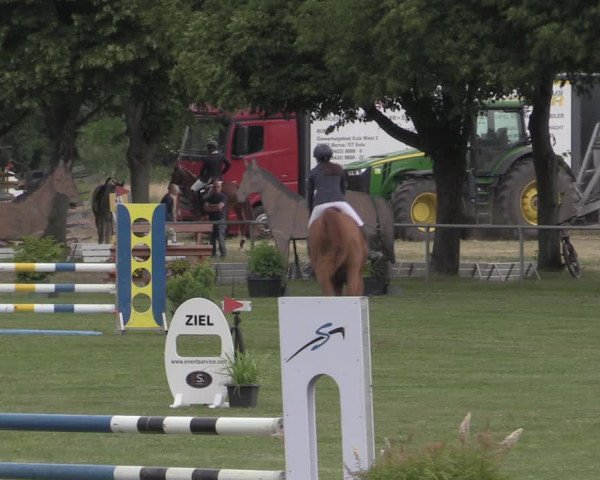 Reitturnier Reitstadion Löbnitz 2022