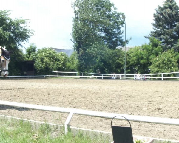 Reitturnier St. Pölten 2022