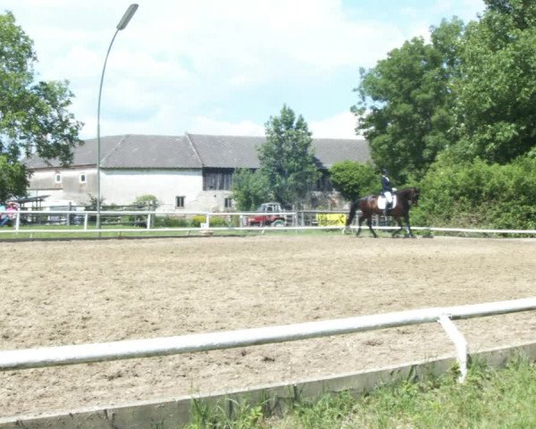 Reitturnier St. Pölten 2022