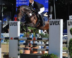 jumper Theo Jackson (German Riding Pony, 2007, from Trentino)