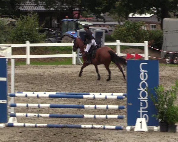 Springturnier Mildstedt 2021