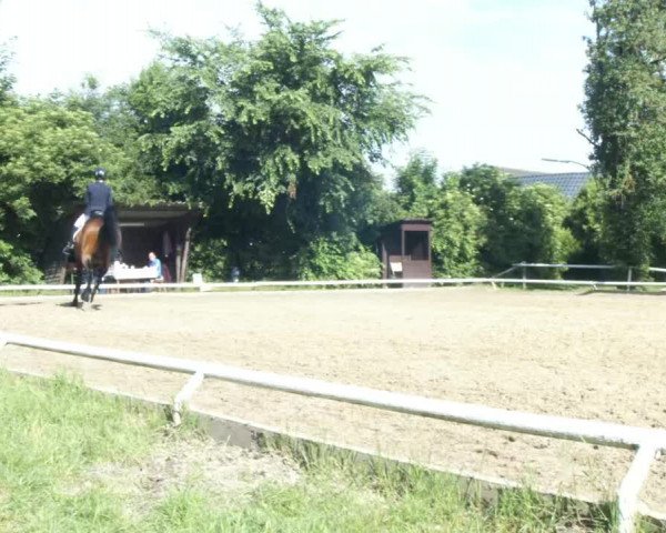 Reitturnier St. Pölten 2022