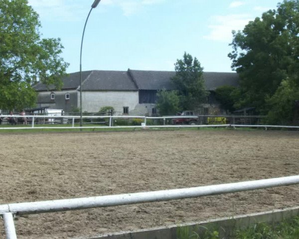 Reitturnier St. Pölten 2022