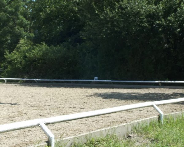 Reitturnier St. Pölten 2022