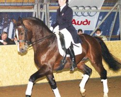 stallion Pinatubo (Oldenburg, 1992, from Placido)