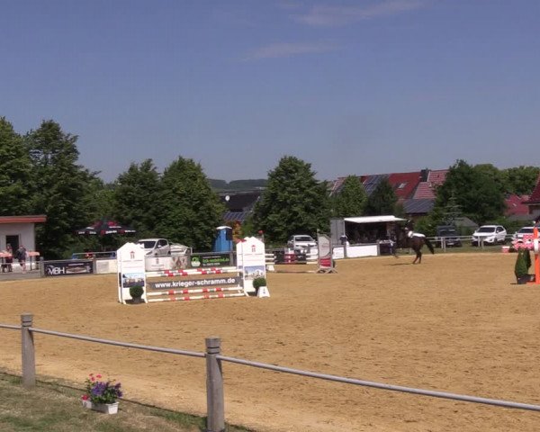Reitturnier Dingelstädt 2022