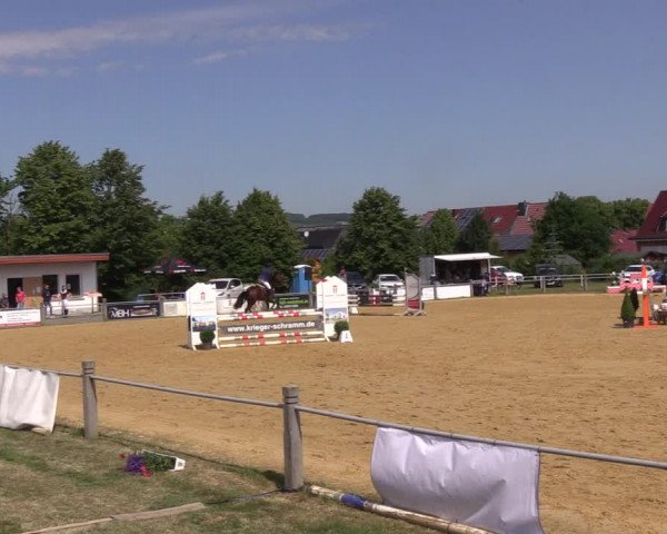 Reitturnier Dingelstädt 2022