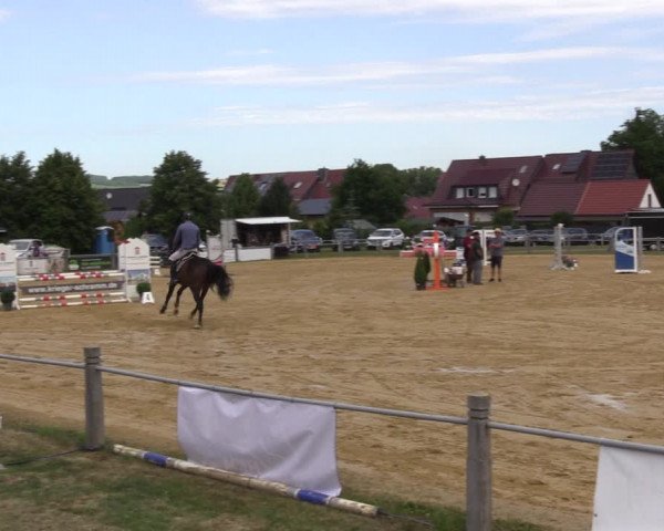 Reitturnier Dingelstädt 2022