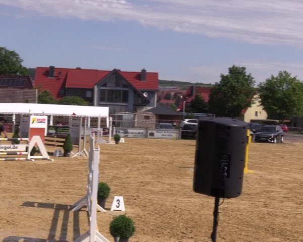 Reitturnier Dingelstädt 2022