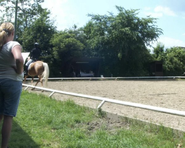 Reitturnier St. Pölten 2022