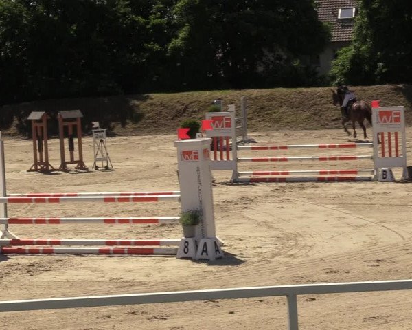 Reitturnier Fröndenberg 2022