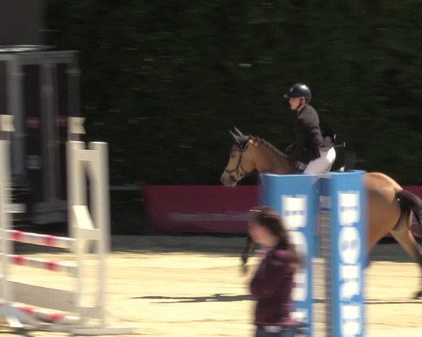 Reitturnier Fröndenberg 2022