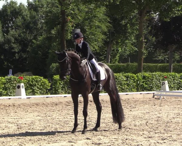 Reitturnier Fröndenberg 2022
