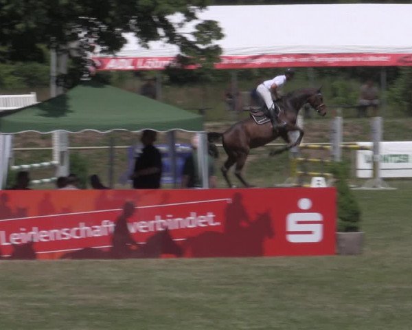 Reitturnier Reitstadion Löbnitz 2022