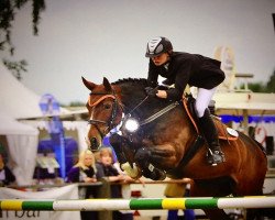 broodmare Paloma (Saxony-Anhaltiner, 1996, from Prinz Pilot)