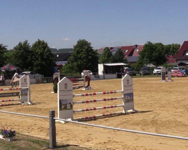 Reitturnier Dingelstädt 2022
