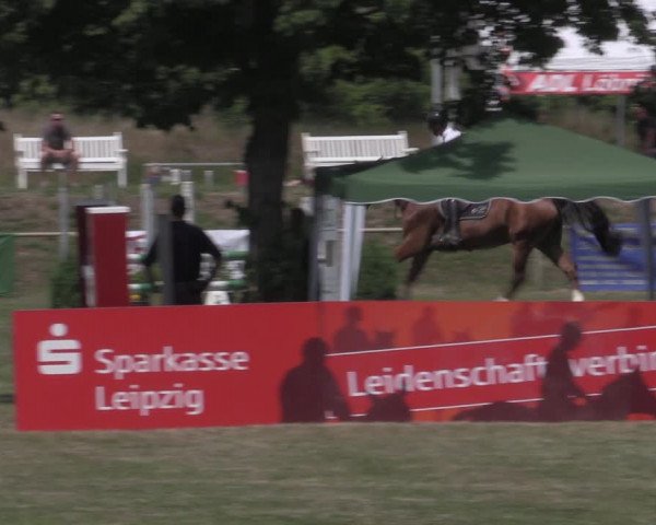 Reitturnier Reitstadion Löbnitz 2022