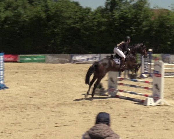 Reitturnier Fröndenberg 2022
