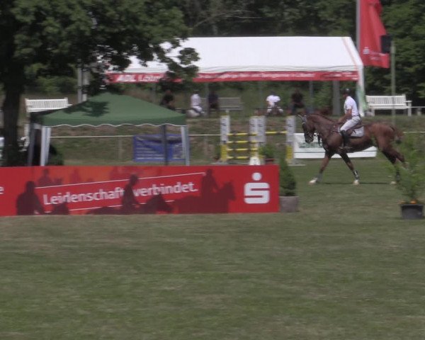 Reitturnier Reitstadion Löbnitz 2022