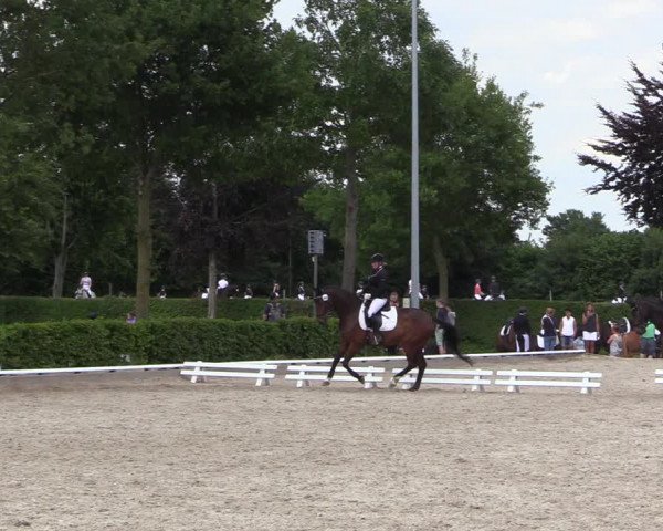 Reitturnier Fröndenberg 2022