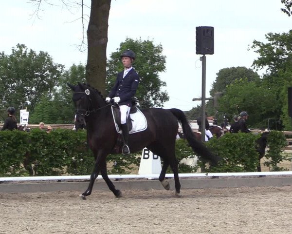 Reitturnier Fröndenberg 2022
