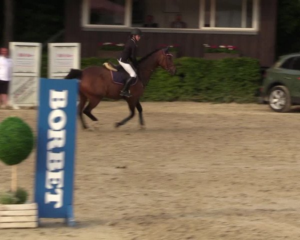 Reitturnier Fröndenberg 2022