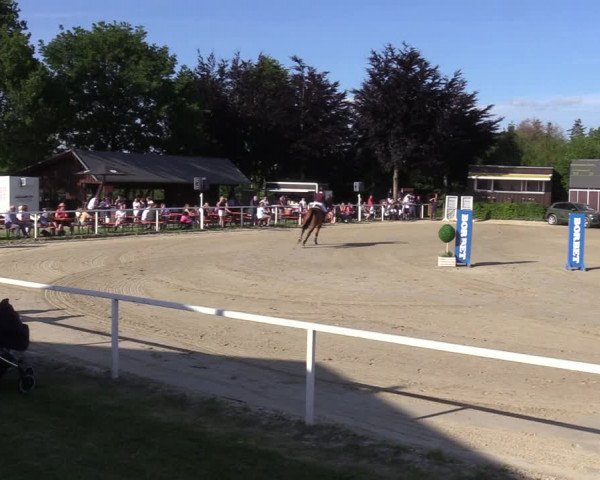Reitturnier Fröndenberg 2022