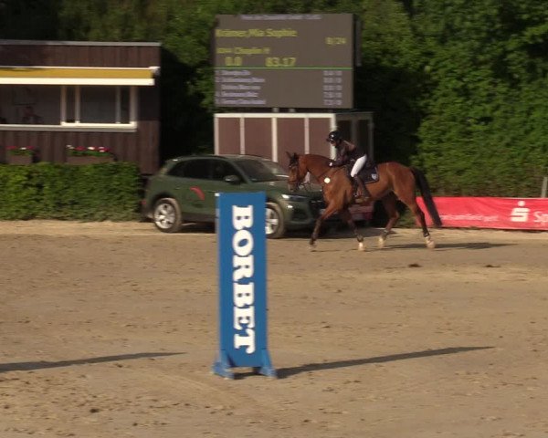 Reitturnier Fröndenberg 2022
