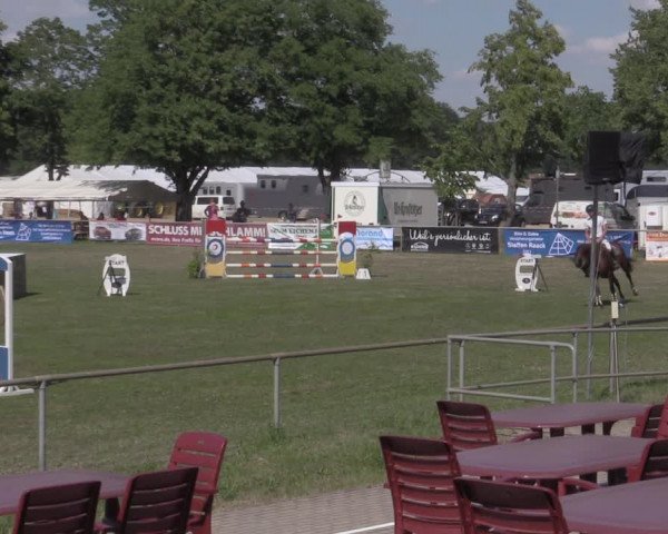 Reitturnier Reitstadion Löbnitz 2022