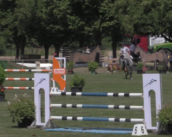Reitturnier Reitstadion Löbnitz 2022