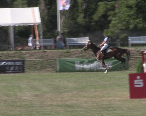 Reitturnier Reitstadion Löbnitz 2022