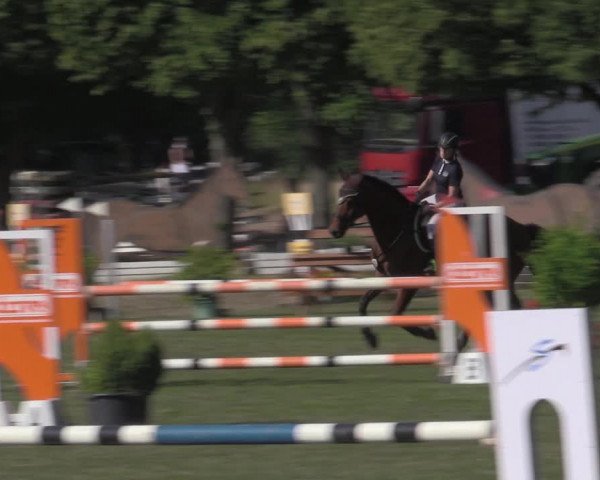 Reitturnier Reitstadion Löbnitz 2022