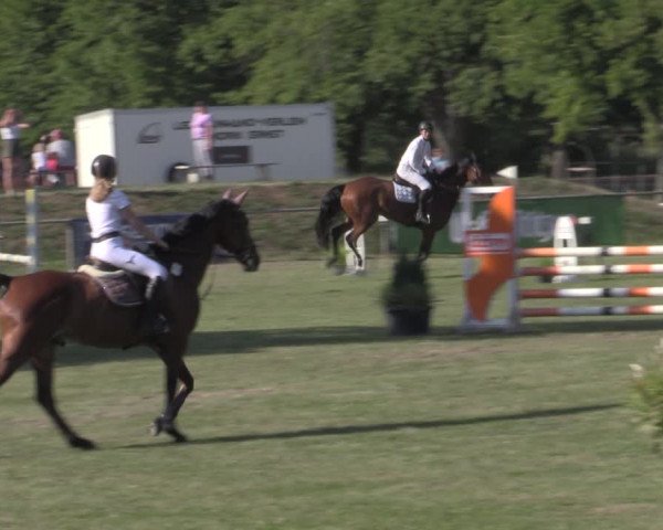 Reitturnier Reitstadion Löbnitz 2022