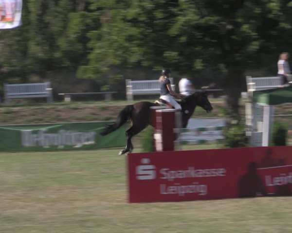 Reitturnier Reitstadion Löbnitz 2022