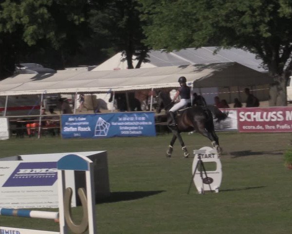 Reitturnier Reitstadion Löbnitz 2022