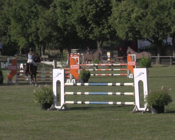 Reitturnier Reitstadion Löbnitz 2022