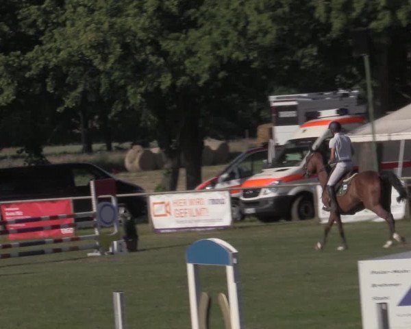 Reitturnier Reitstadion Löbnitz 2022