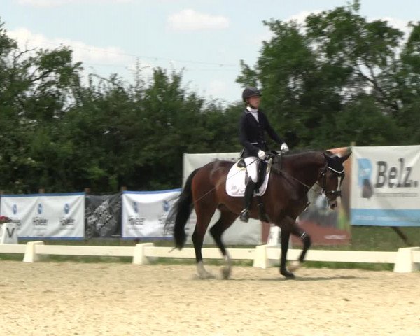 Reitturnier Münster, St. Georg | Amateurtag 2022