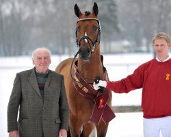 stallion Captain Kirk (Bavarian, 2008, from Captain Fire)