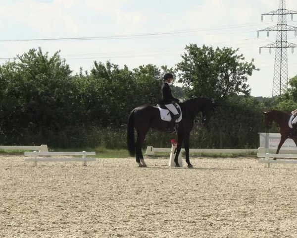 Reitturnier Münster, St. Georg | Amateurtag 2022