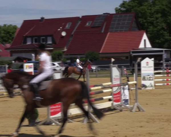 Reitturnier Dingelstädt 2022