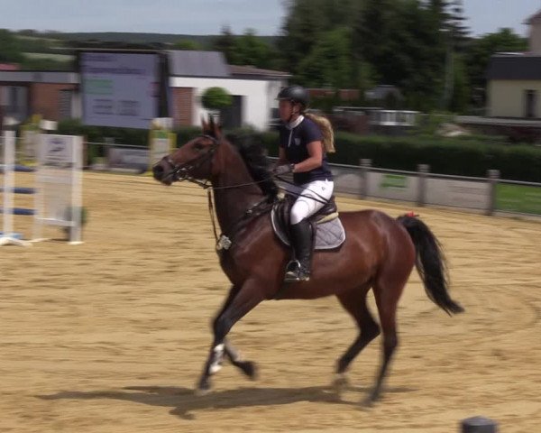 Reitturnier Dingelstädt 2022