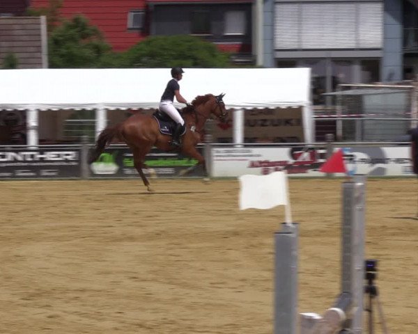 Reitturnier Dingelstädt 2022