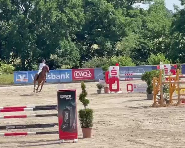 Video von Calize