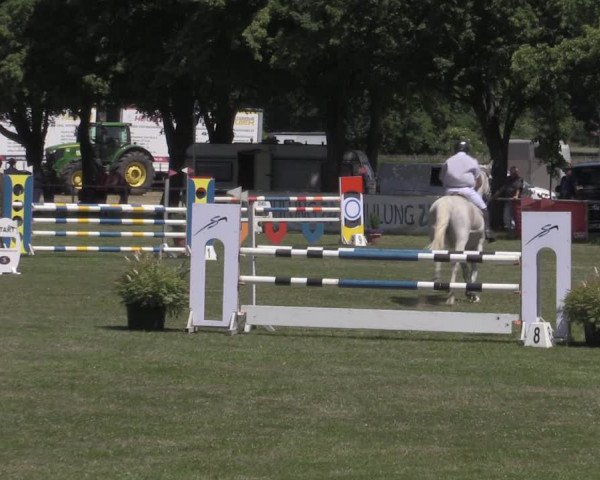 Reitturnier Reitstadion Löbnitz 2022