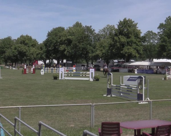 Reitturnier Reitstadion Löbnitz 2022