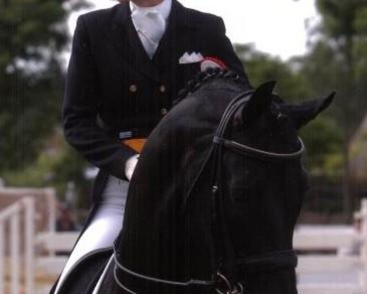 stallion Don Pikado (Oldenburg, 1992, from Donnerhall)