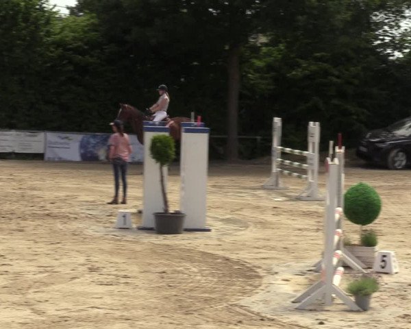 Reitturnier Fröndenberg 2022