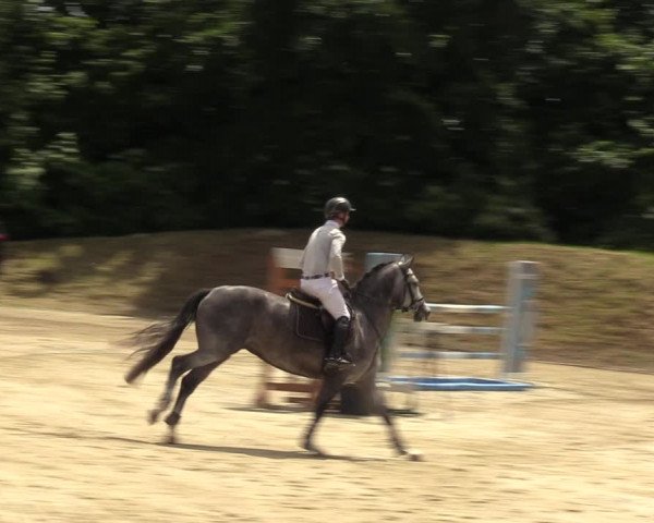 Reitturnier Fröndenberg 2022